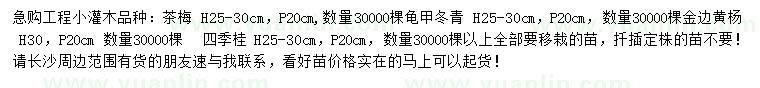 求購茶梅、龜甲冬青、金邊黃楊等