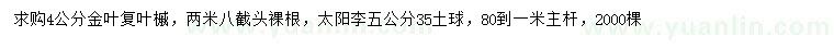 求購4公分金葉復(fù)葉槭、5公分太陽李