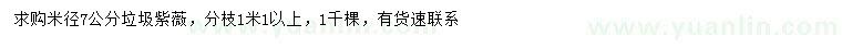 求購米徑7公分紫薇
