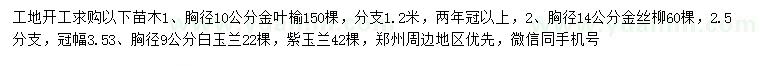 求購金葉榆、金絲柳、白玉蘭等