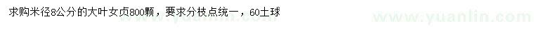 求購8公分大葉女貞