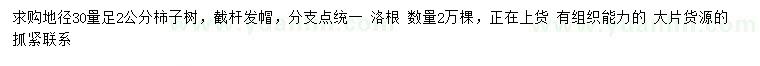 求購30量2公分柿子樹