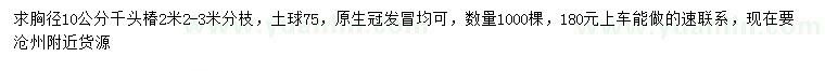 求購(gòu)胸徑10公分千頭椿