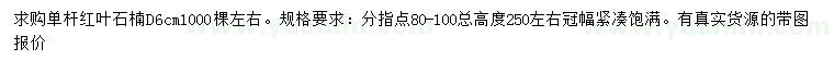 求購地徑6公分紅葉石楠