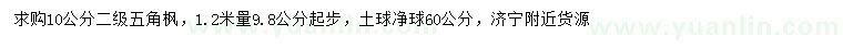求購1.2米量10公分五角楓