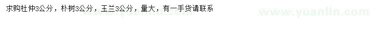 求購(gòu)杜仲、樸樹(shù)、玉蘭