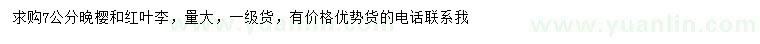 求購(gòu)7公分晚櫻、紅葉李