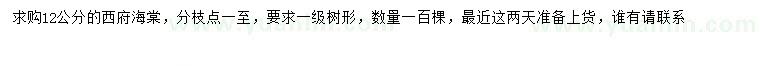 求購12公分西府海棠