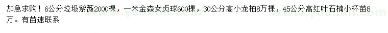 求購(gòu)紫薇、金森女貞球、小龍柏等