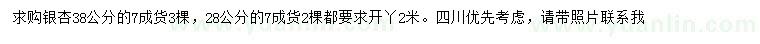 求購(gòu)28、38公分銀杏