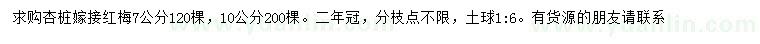 求購7、10公分紅梅