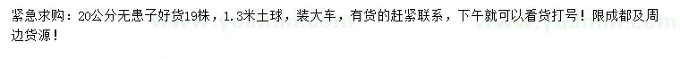 求購(gòu)20公分無(wú)患子