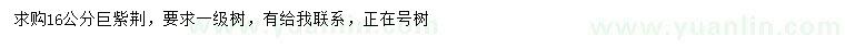 求購(gòu)16公分巨紫荊