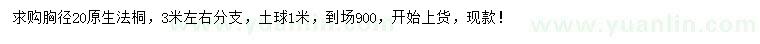 求購胸徑20公分法桐