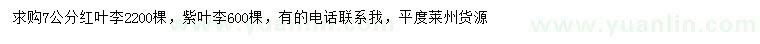 求購7公分紅葉李、紫葉李