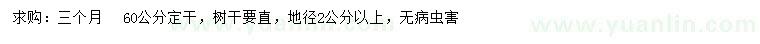 求購(gòu)地徑2公分以上山杏