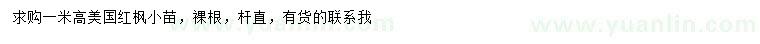 求購高1米美國紅楓