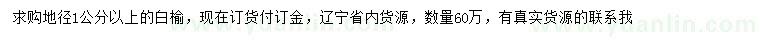 求購地徑1公分以上白榆