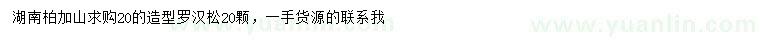 求購20公分造型羅漢松
