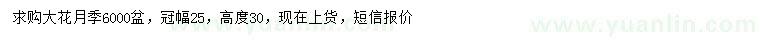 求購(gòu)高30公分大花月季