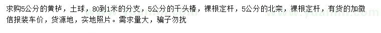求購(gòu)黃櫨、千頭椿、北欒