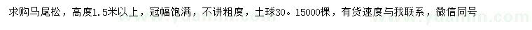 求購高1.5米以上馬尾松