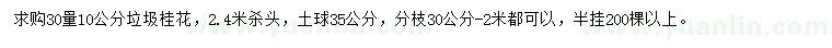 求購30量10公分桂花