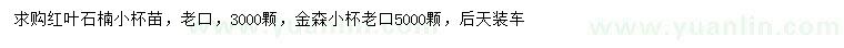 求購紅葉石楠小苗、金森小苗