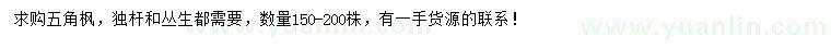求購(gòu)五角楓
