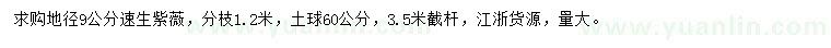 求購地徑9公分速生紫薇