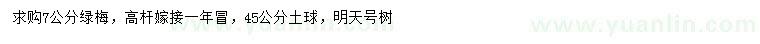 求購7公分綠梅