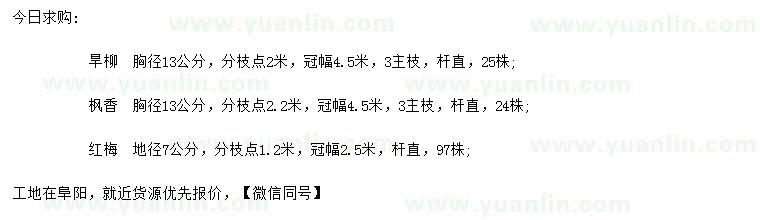 求購(gòu)旱柳、楓香、紅梅