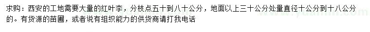 求購30公分量10-18公分紅葉李