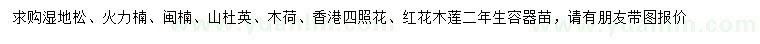 求購濕地松、火力楠、閩楠等
