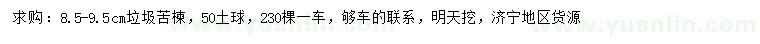 求購8.5-9.5公分苦楝