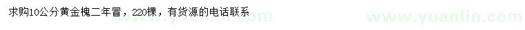 求購10公分黃金槐