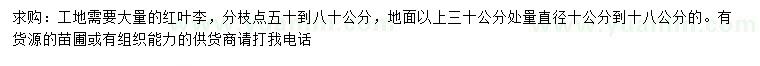 求購(gòu)30量10-18公分紅葉李
