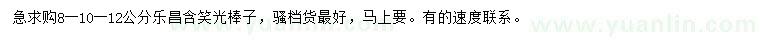 求購8、10、12公分樂昌含笑