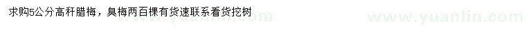 求購5公分高稈臘梅