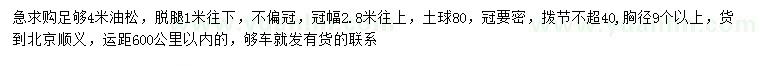 求購4米油松