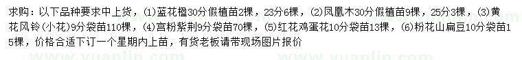 求購藍(lán)花楹、鳳凰木、黃花風(fēng)鈴木等