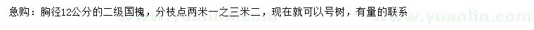求購胸徑12公分國槐