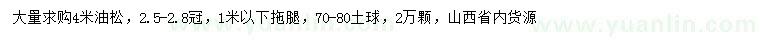 求購4米油松