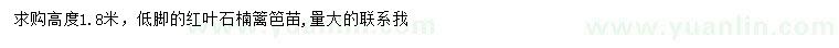 求購(gòu)高1.8米紅葉石楠
