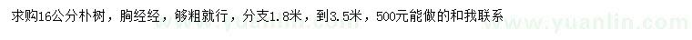 求購胸徑16公分樸樹