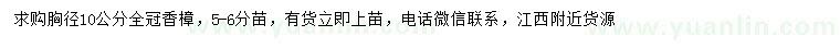 求購胸徑10公分香樟