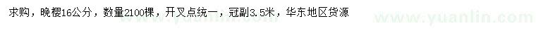 求購16公分晚櫻