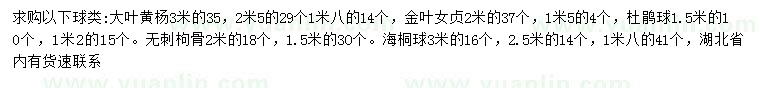 求購(gòu)大葉黃楊球、金葉女貞球、杜鵑球等