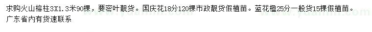 求購(gòu)火山榕柱、國(guó)慶花、藍(lán)花楹