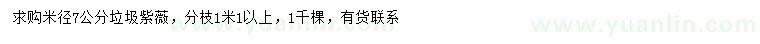 求購米徑7公分紫薇